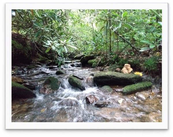 Bent Creek at NC Arboretum