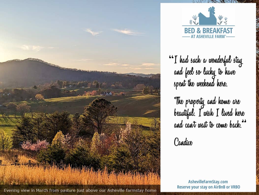 Latest News and Photos from the Bed and Breakfast Asheville Farmstay