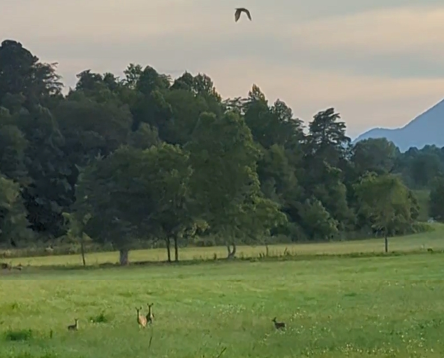 view of the bnb home as you arrive